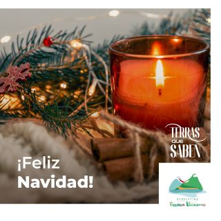 Esta noche, queremos brindar por todas las personas que forman parte de nuestro geodestino, ¡sin duda sois la parte más importante! 🥂💚
//
Esta noite, queremos brindar por todas as persoas que forman parte do noso xeodestino, sen dúbida sodes a parte máis importante! 🥂💚
.
.
.
#navidad #dulcenavidad #galicia #nochebuena